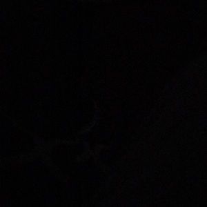 Meet your Posher, Kolby